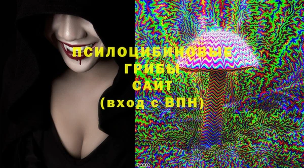 стафф Алзамай
