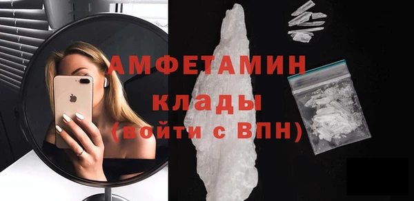 стафф Алзамай