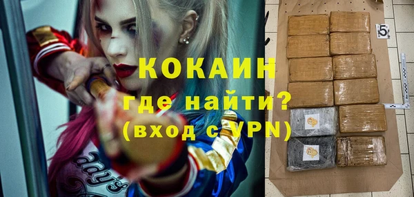 стафф Алзамай