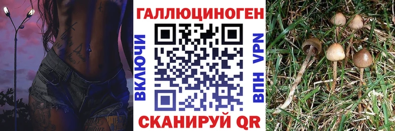 Псилоцибиновые грибы прущие грибы  shop наркотические препараты  Владивосток  KRAKEN ссылки 